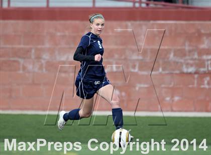 Thumbnail 3 in Rock Canyon vs. Ralston Valley (CHSAA 5A Quarterfinal) photogallery.