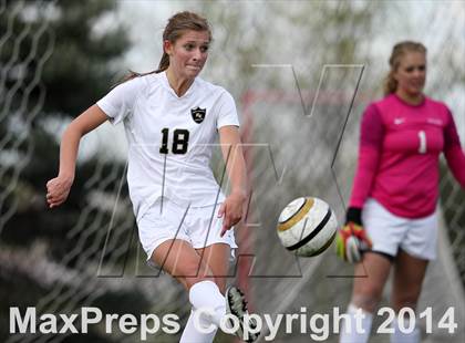 Thumbnail 1 in Rock Canyon vs. Ralston Valley (CHSAA 5A Quarterfinal) photogallery.
