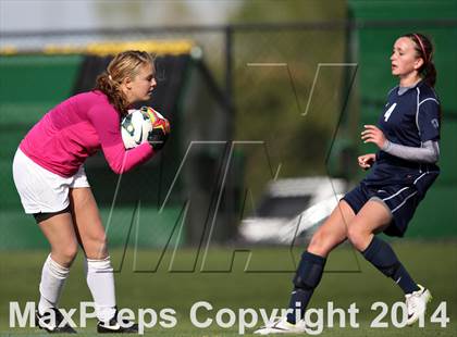 Thumbnail 3 in Rock Canyon vs. Ralston Valley (CHSAA 5A Quarterfinal) photogallery.