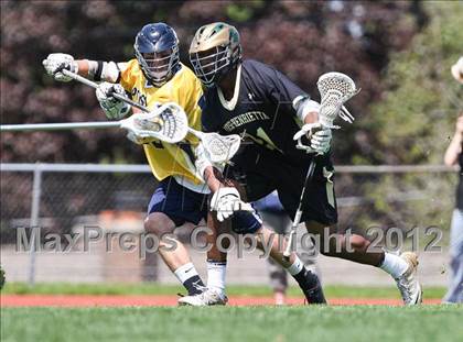 Thumbnail 3 in Rush-Henrietta @ Mendon/Sutherland photogallery.