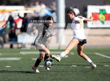 Thumbnail 1 in Flowing Wells vs Walden Grove (Kelly Pierce Soccer Tournament) photogallery.