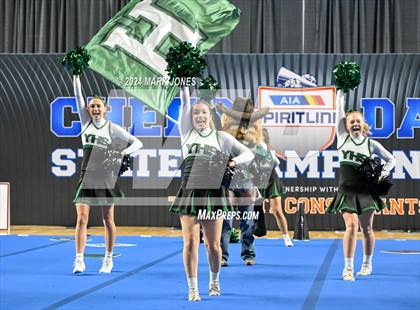 Thumbnail 3 in Youngker - Dance Game Day Championships (AIA Division I) photogallery.