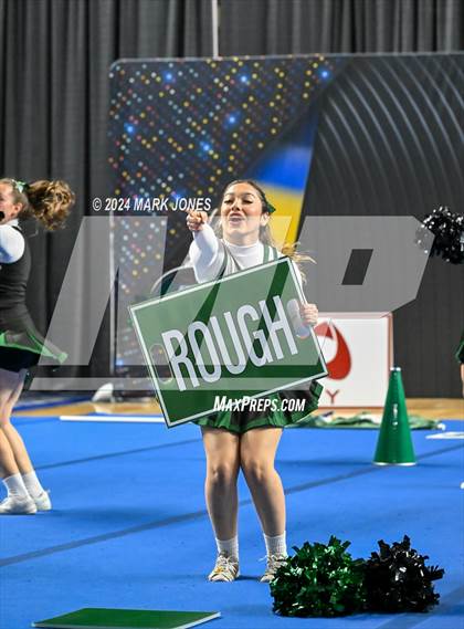 Thumbnail 3 in Youngker - Dance Game Day Championships (AIA Division I) photogallery.