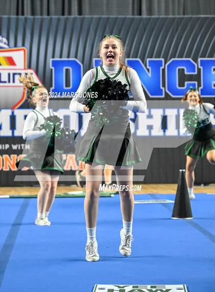 Thumbnail 2 in Youngker - Dance Game Day Championships (AIA Division I) photogallery.