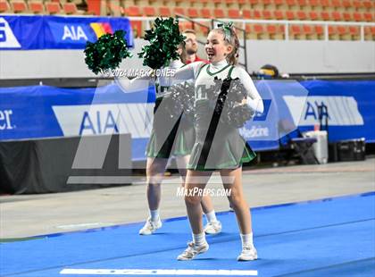 Thumbnail 2 in Youngker - Dance Game Day Championships (AIA Division I) photogallery.
