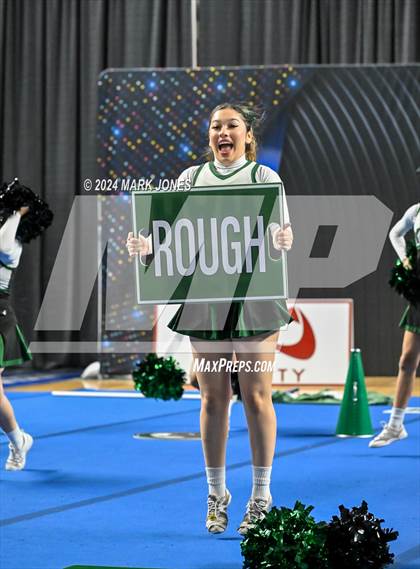 Thumbnail 2 in Youngker - Dance Game Day Championships (AIA Division I) photogallery.
