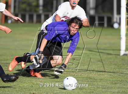 Thumbnail 2 in Bow @ Goffstown photogallery.