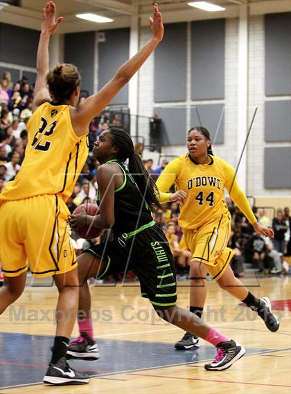 Thumbnail 2 in Miramonte vs. Bishop O'Dowd (CIF NCS D3 Final) photogallery.