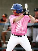 Photo from the gallery "Corona del Sol @ O'Connor"