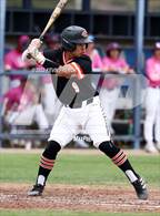 Photo from the gallery "Corona del Sol @ O'Connor"