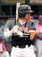 Photo from the gallery "Corona del Sol @ O'Connor"