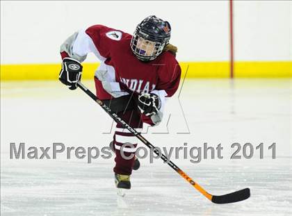 Thumbnail 3 in North Haven/Amity vs. Hamden (at Quinnipiac University) photogallery.