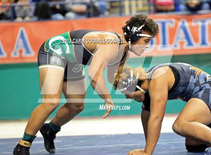 Thumbnail 1 in NCHSAA State 4A Wrestling Championships (Finals) photogallery.