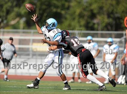Thumbnail 3 in Arroyo @ Hart photogallery.