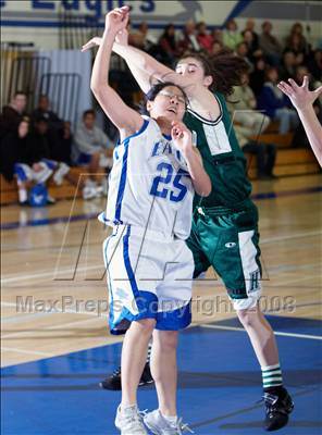 Thumbnail 3 in Homestead @ Los Altos photogallery.
