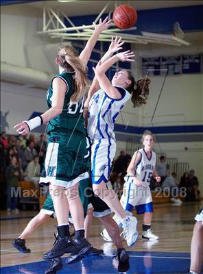 Thumbnail 2 in Homestead @ Los Altos photogallery.