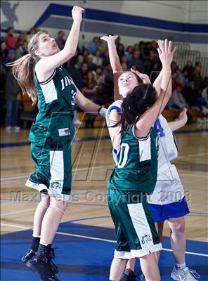 Thumbnail 3 in Homestead @ Los Altos photogallery.