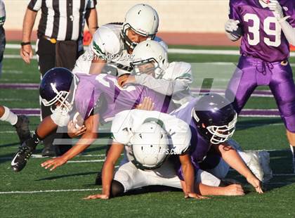 Thumbnail 1 in Carlsbad vs. Oceanside photogallery.