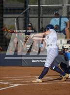 Photo from the gallery "Pope @ Marist"