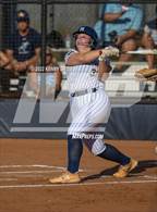 Photo from the gallery "Pope @ Marist"