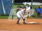 Photo from the gallery "Pope @ Marist"
