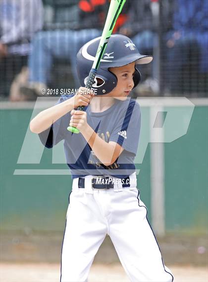 Thumbnail 3 in Archbishop Williams vs. Oxford (MIAA Division 4 Final) photogallery.