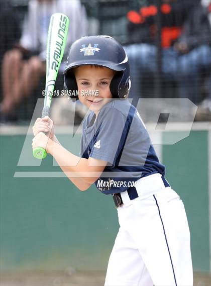 Thumbnail 1 in Archbishop Williams vs. Oxford (MIAA Division 4 Final) photogallery.