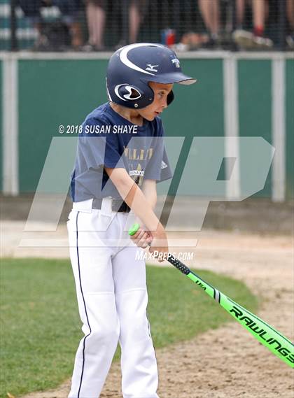 Thumbnail 1 in Archbishop Williams vs. Oxford (MIAA Division 4 Final) photogallery.