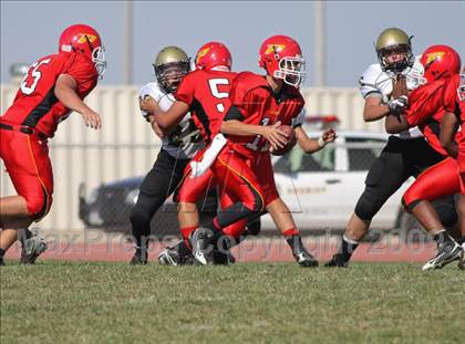 Thumbnail 2 in Golden Valley @ Paraclete photogallery.