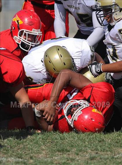 Thumbnail 1 in Golden Valley @ Paraclete photogallery.