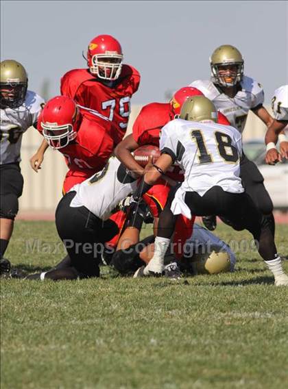 Thumbnail 2 in Golden Valley @ Paraclete photogallery.