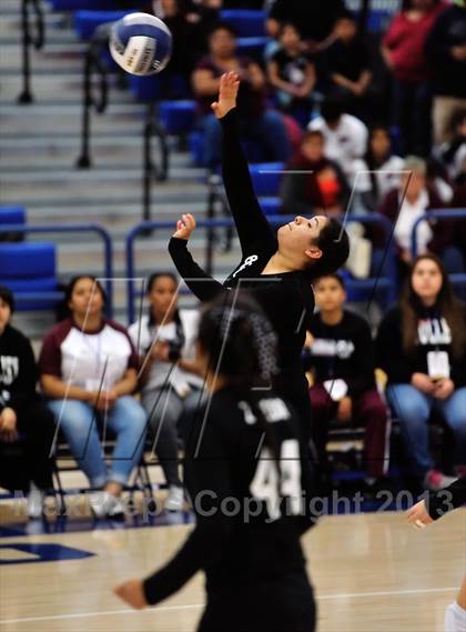 Thumbnail 1 in Bishop Conaty-Loretto vs Pomona Catholic (CIF SS D5AA Final) photogallery.
