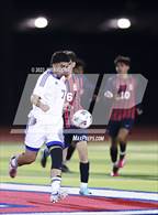 Photo from the gallery "Mt. Eden @ Dublin"