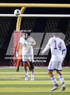 Photo from the gallery "Mt. Eden @ Dublin"