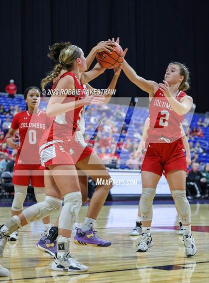 Thumbnail 1 in Holliday vs. Columbus (UIL 3A Basketball State Semifinal) photogallery.