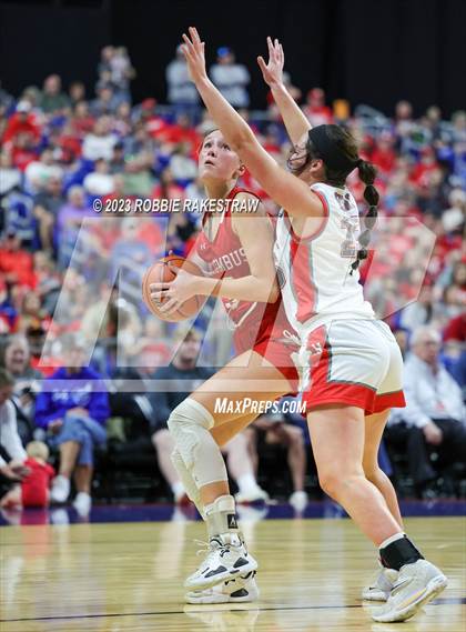 Thumbnail 3 in Holliday vs. Columbus (UIL 3A Basketball State Semifinal) photogallery.
