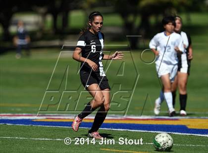 Thumbnail 3 in Tuckahoe @ Keio Academy photogallery.
