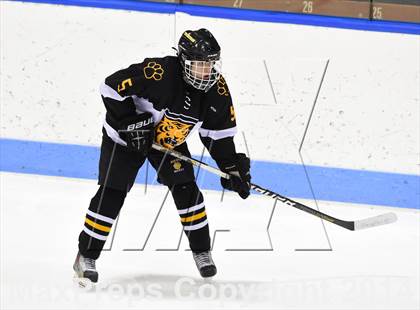Thumbnail 2 in Daniel Hand vs. Amity Regional (CIAC DII Final) photogallery.