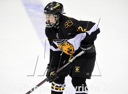 Thumbnail 2 in Daniel Hand vs. Amity Regional (CIAC DII Final) photogallery.