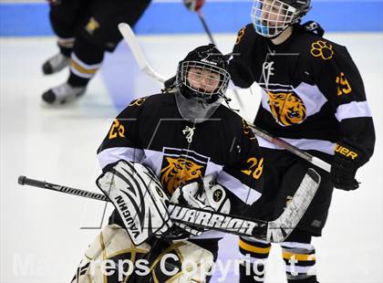 Thumbnail 2 in Daniel Hand vs. Amity Regional (CIAC DII Final) photogallery.