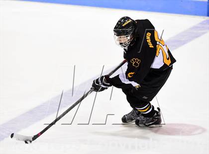 Thumbnail 2 in Daniel Hand vs. Amity Regional (CIAC DII Final) photogallery.