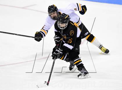Thumbnail 1 in Daniel Hand vs. Amity Regional (CIAC DII Final) photogallery.