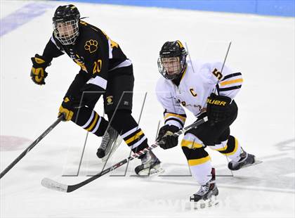 Thumbnail 2 in Daniel Hand vs. Amity Regional (CIAC DII Final) photogallery.