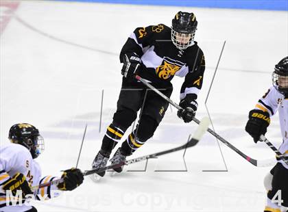 Thumbnail 3 in Daniel Hand vs. Amity Regional (CIAC DII Final) photogallery.