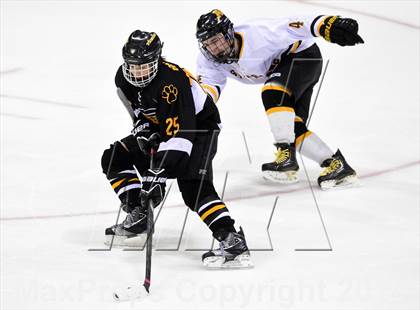 Thumbnail 1 in Daniel Hand vs. Amity Regional (CIAC DII Final) photogallery.