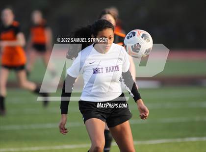 Thumbnail 3 in Bret Harte @ Summerville photogallery.