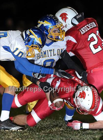 Thumbnail 2 in Hamilton @ East Nicolaus photogallery.