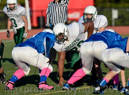 Thumbnail 1 in DeSoto @ Hillsboro photogallery.