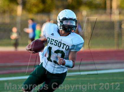 Thumbnail 3 in DeSoto @ Hillsboro photogallery.