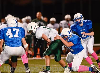 Thumbnail 3 in DeSoto @ Hillsboro photogallery.